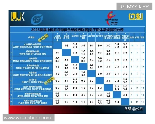 乒超联赛积分榜最新动态分析及各队表现评估